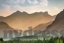 成人av在线视频网站-平台，网络时代的灰色地带与边界探讨